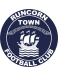 Runcorn Town