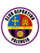 CD Palencia 