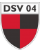 DSV 04