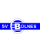 Bolnes