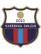 Varesina