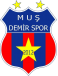 Mus Demir Spor