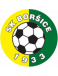 Borsice