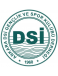 Ankara DSI