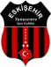 Yunusemre Spor