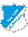 TSG Hoffenheim