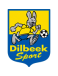 Dilbeek Sport