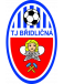 Bridlicna