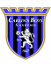 Carlin's Boys