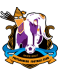 Phitsanulok FC