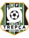 KF Trepca logosu