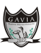 Gavia Choszczno