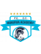 Minerva Academy