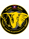 Young Elephants