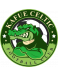 Kafue Celtic FC