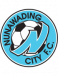 Nunawading City