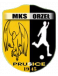 Orzel