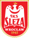 Sleza Wr. U19
