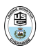 USD Cisanese logosu