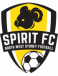 NWS Spirit logosu