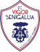 FC Senigallia