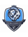 Accra Lions