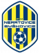 FK Neratovice-Byskovice logosu
