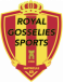 Gosselies