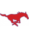 SMU Mustangs