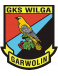 Wilga Garwolin logosu