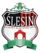 LKS Slesin