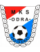Odra Scinawa