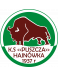 Puszcza