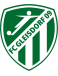 FC Gleisdorf 09