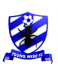 Young Wise FC