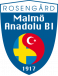 Malmö ABI