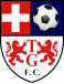 Tomás Greig