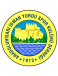 A. Hisari IY