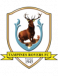 BG Tampines Rovers logosu