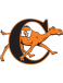 Fighting Camels