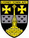 Lydney Town