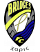 Bridges FC