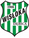 Wisloka U19