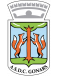 Comunale Gonars