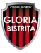 Gloria Bistrita logosu