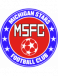 Michigan Stars