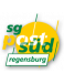 Regensburg U17