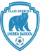 Unirea Bascov