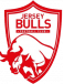 Jersey Bulls