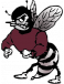 SBPS Gray Bees
